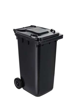 Image de CONTENEUR 2 ROUES 240L