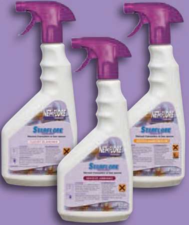 Image de NETFLORE STARFLORE ODORISANT AMBIANCE SPRAY 750ML