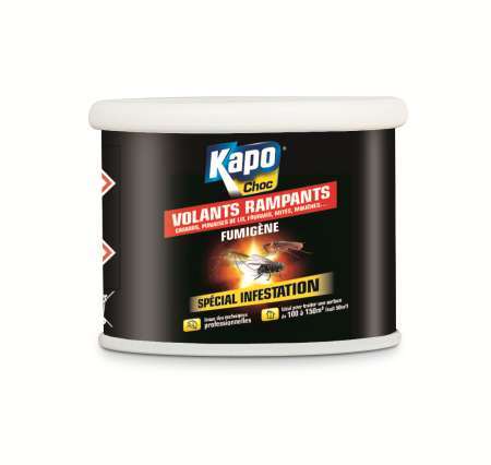 Image de KAPO AEROSOL FUMIGENE 60G