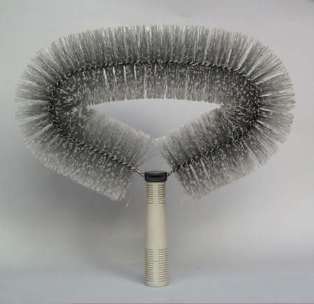 Image de TETE DE LOUP OVALE