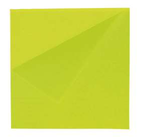 Image de WELCOME SERVIETTE LUXE OUATE VERT AMANDE 2P 38X38 COLISx2400