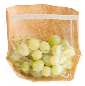 Image de SACHETS AVEC BASE ET FENÊTRE 20x15x4CM KRAFT PAQUET x100