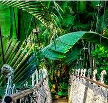 Image de PARFUM TECK ET TONKA POUR NEZBU 200ML