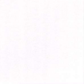 Image de DUNI SERVIETTE BIO DUNISOFT 40x40 BLANC COLIS x360