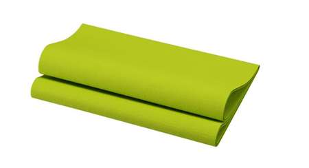 Image de DUNI SERVIETTE BIO DUNISOFT 40x40 KIWI COLIS x360