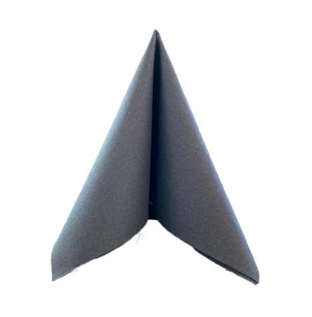 Image de SERVIETTE PRESTIGE ANTHRACITE 40X40 VOIE SECHE COLIS x800