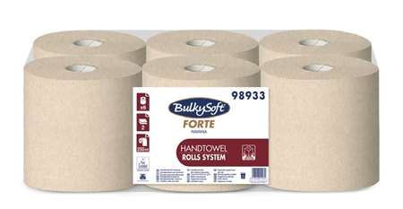 Image de HAVANA BOBINE ESSUIE-MAINS RECYCLE 2P 250M COLIS x6