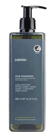 Image de SAVON MAINS LIQUIDE ANYAH 480ML COLIS x18