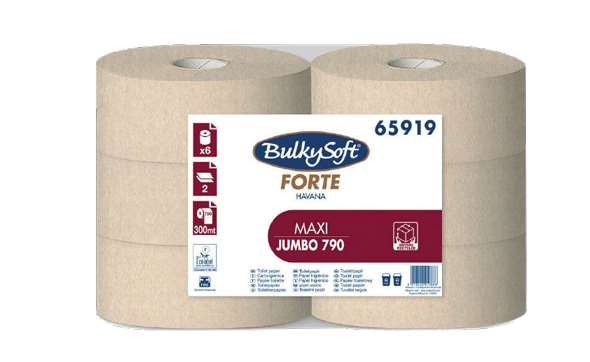 Image de HAVANA PH BOBINE MAXI JUMBO RECYCLE 2PLIS ECOLABEL COLIS x6